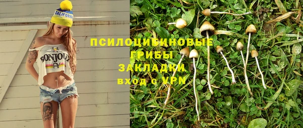 мет Горно-Алтайск