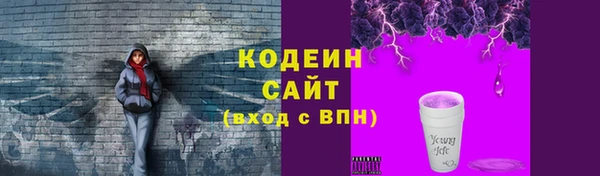 ГАЛЛЮЦИНОГЕННЫЕ ГРИБЫ Горняк
