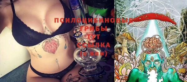 ГАЛЛЮЦИНОГЕННЫЕ ГРИБЫ Горняк