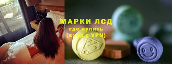 ГАЛЛЮЦИНОГЕННЫЕ ГРИБЫ Горняк
