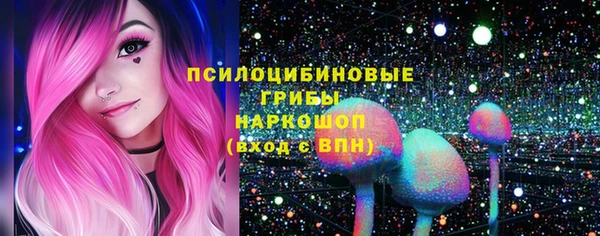 ГАЛЛЮЦИНОГЕННЫЕ ГРИБЫ Горняк