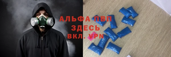 ГАЛЛЮЦИНОГЕННЫЕ ГРИБЫ Горняк