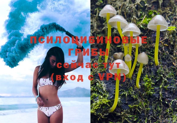спайс Горнозаводск