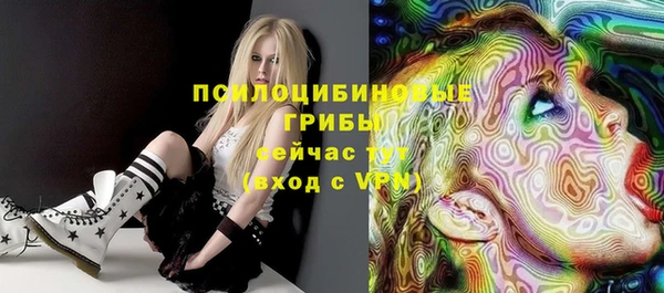 ГАЛЛЮЦИНОГЕННЫЕ ГРИБЫ Горняк