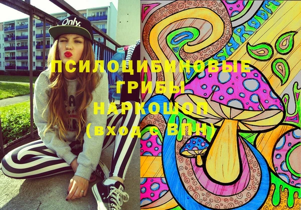 ГАЛЛЮЦИНОГЕННЫЕ ГРИБЫ Горняк