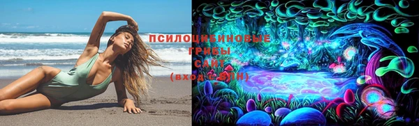 ГАЛЛЮЦИНОГЕННЫЕ ГРИБЫ Горняк