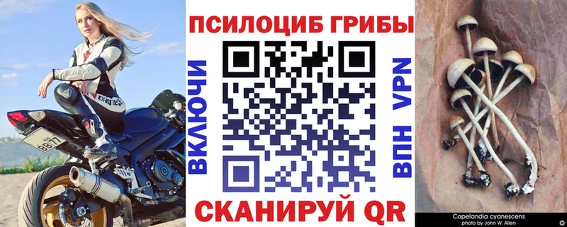 Купить где  Беслан  Галлюциногенные грибы мицелий 
